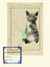 An_co_2011_felis kingi_tiny